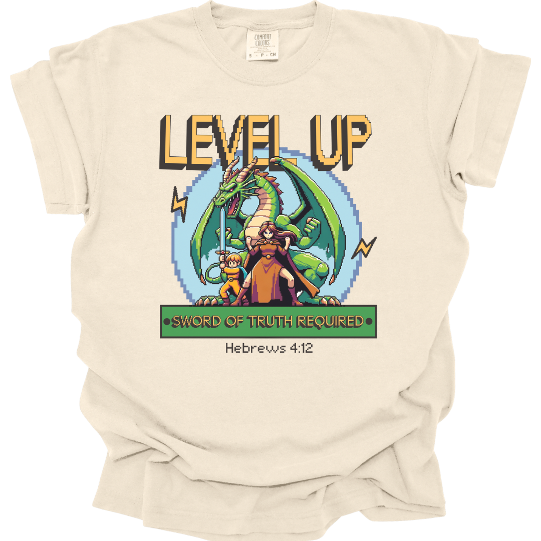 LEVEL UP - Comfort Colors